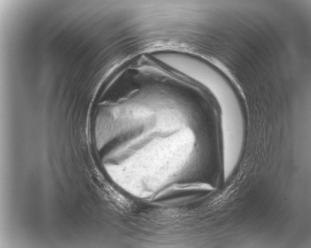 X0000057080791200510010158