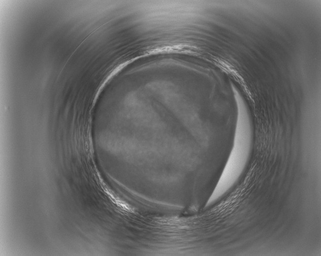 X0000057080792200510010158