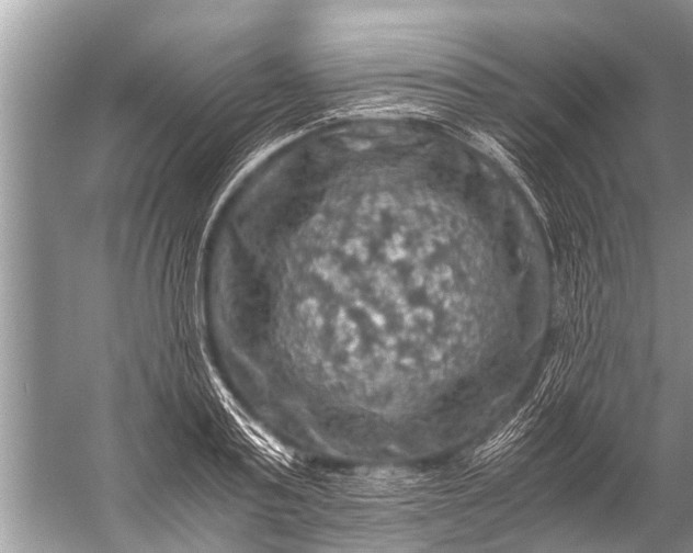 X0000057080795200510010158