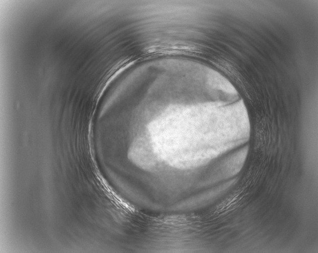 X0000057080798200510010158