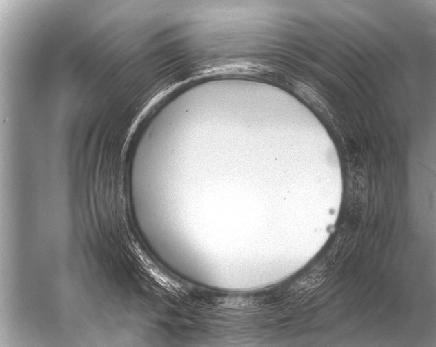 X0000057080800200510010158