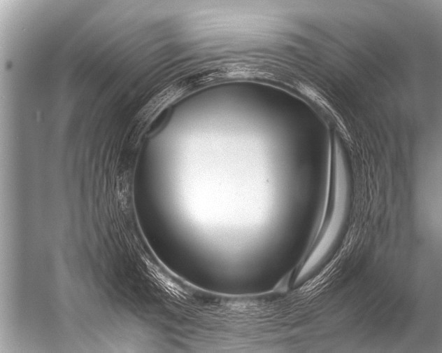 X0000057080801200510010158