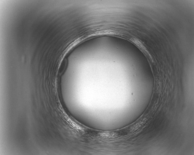 X0000057080805200510010158