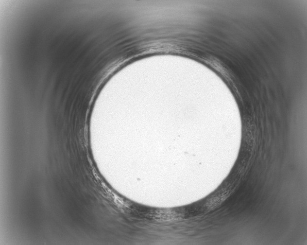 X0000057080807200510010158