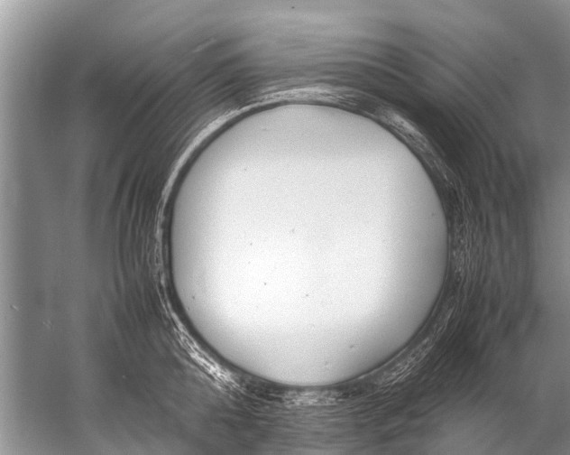 X0000057080808200510010158