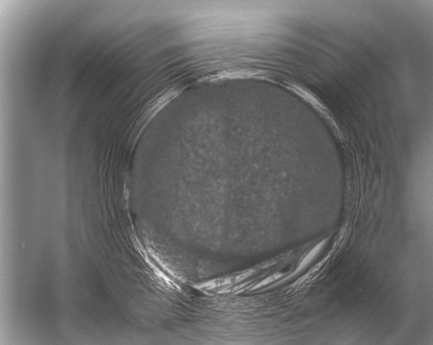 X0000057080809200510010158