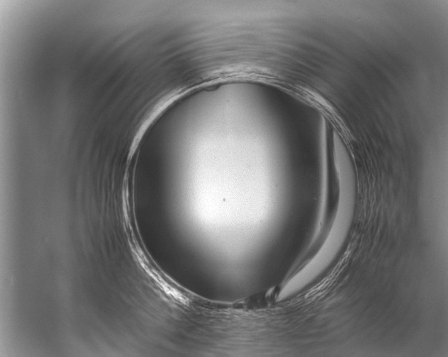 X0000057080812200510010158