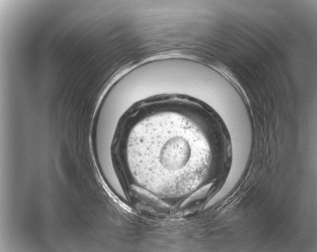 X0000057080813200510010158