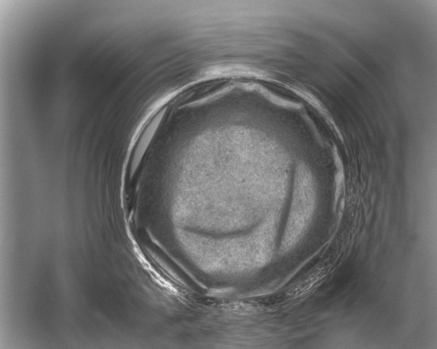 X0000057080815200510010158