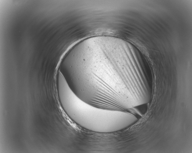 X0000057080816200510010158