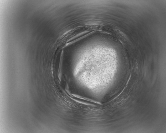 X0000057080821200510010157