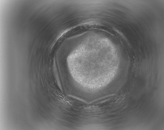 X0000057080823200510010157