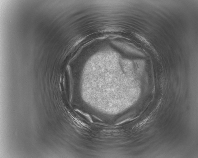 X0000057080825200510010157