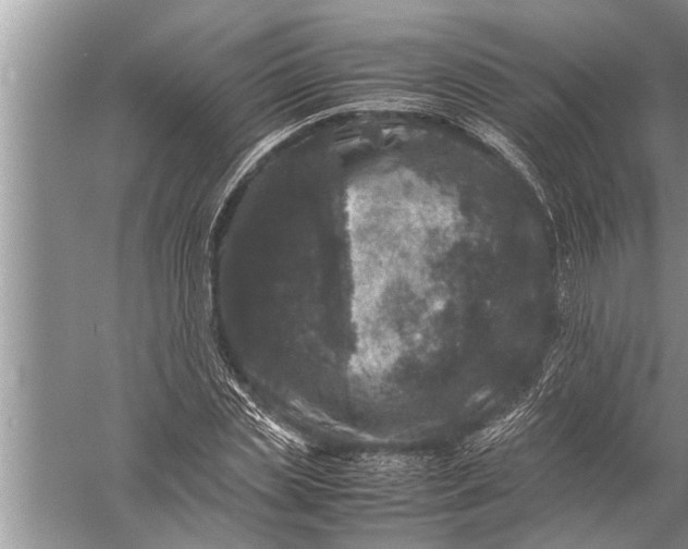 X0000057080829200510010157