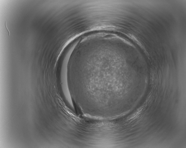 X0000057080830200510010157