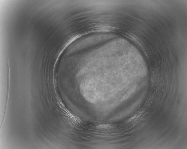 X0000057080835200510010157