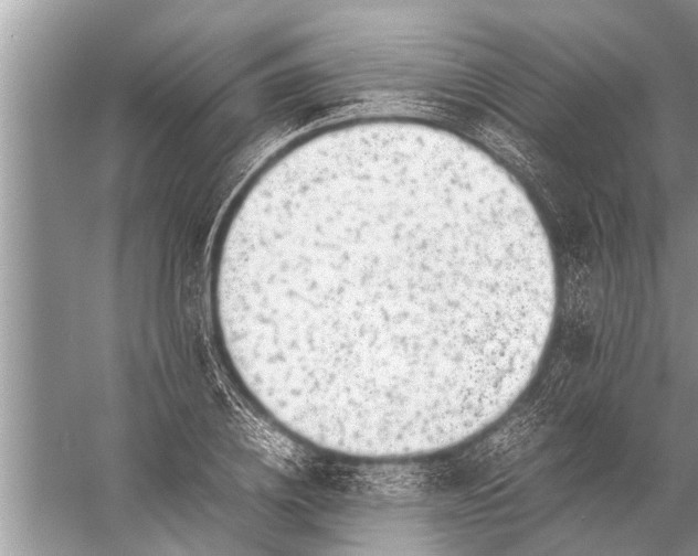 X0000057080836200510010157