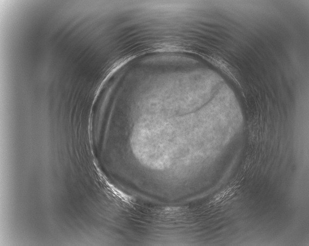 X0000057080839200510010157