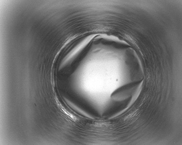 X0000057080843200510010157