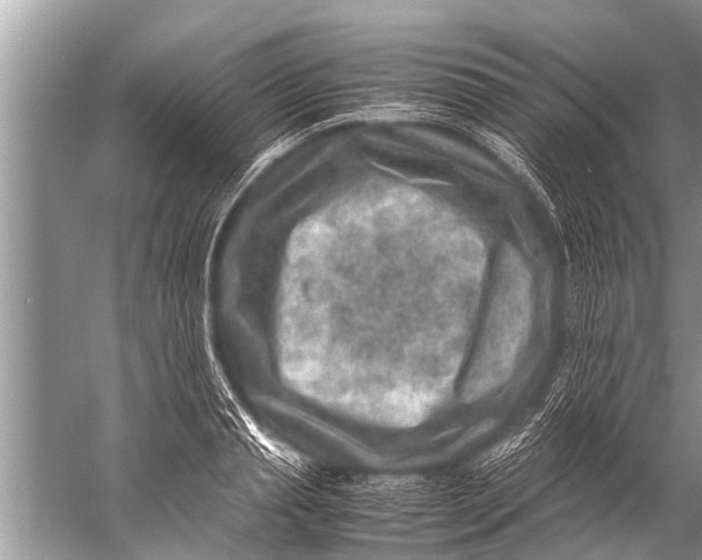 X0000057080845200510010157