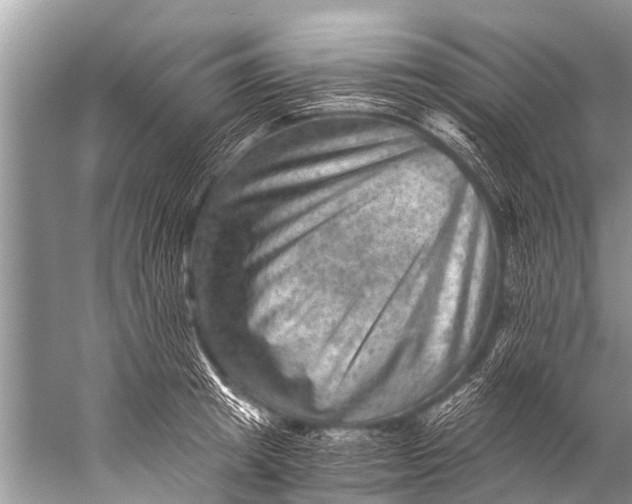 X0000057080849200510010157