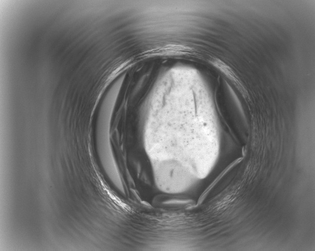 X0000057080850200510010157