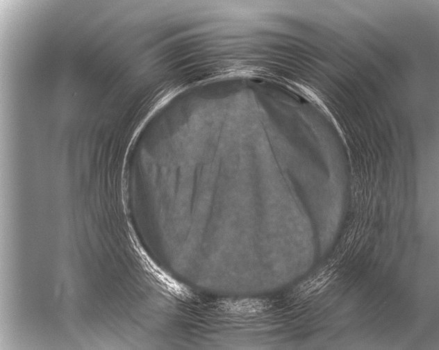 X0000057080851200510010157