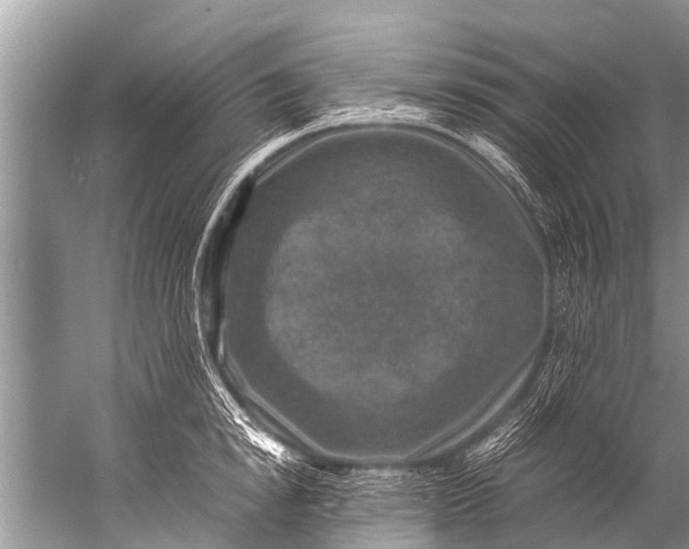 X0000057080854200510010158