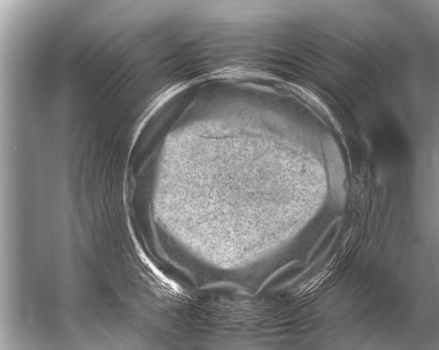 X0000057080855200510010158