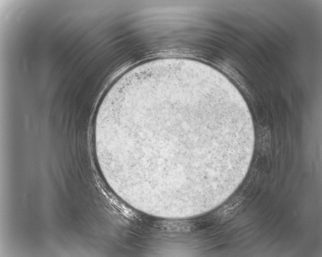 X0000057080856200510010158