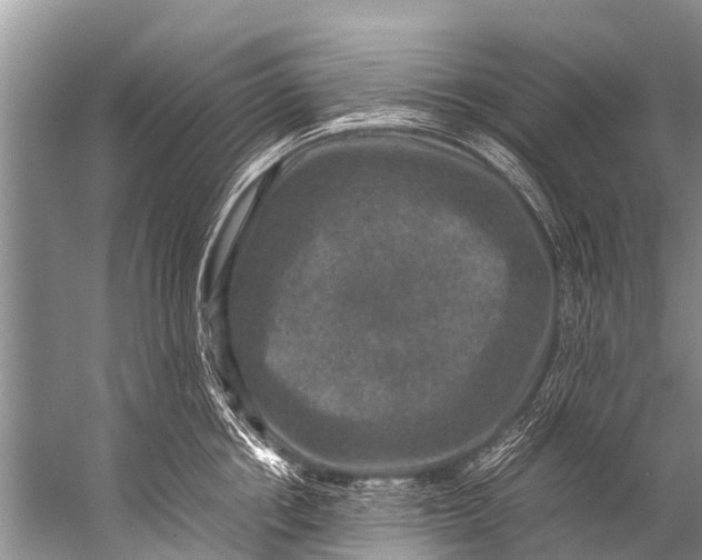 X0000057080858200510010158