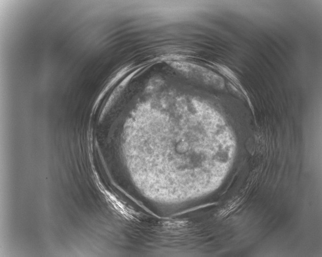 X0000057080859200510010158