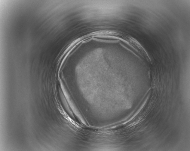 X0000057080860200510010158