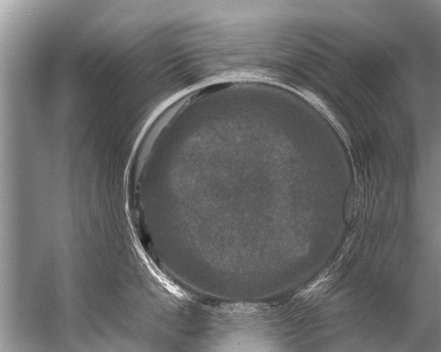 X0000057080862200510010158