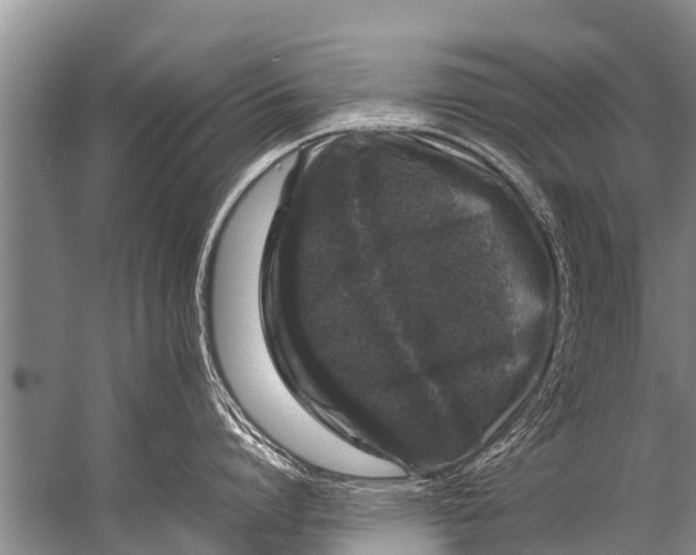 X0000057080864200510010158