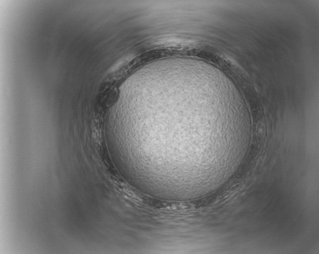 X0000057080869200510010157