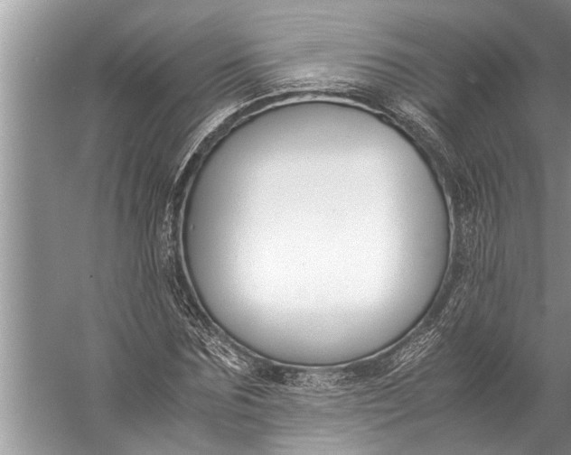 X0000057080875200510010157