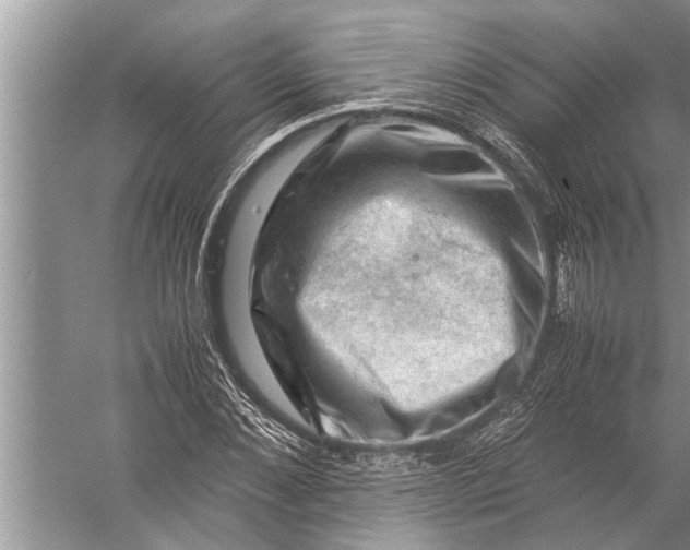 X0000057080876200510010157