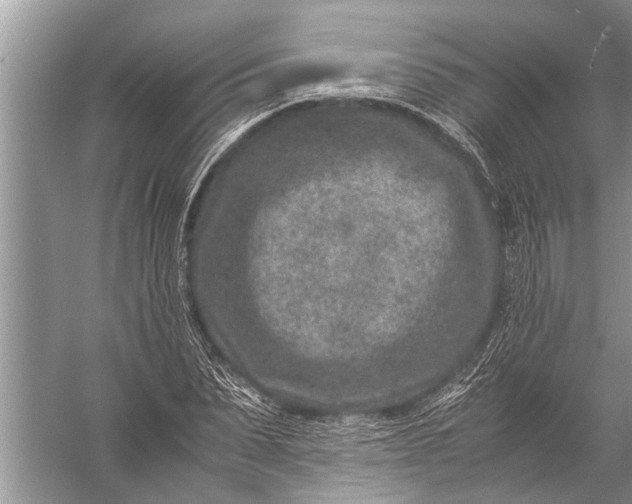 X0000057080879200510010157