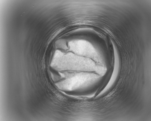 X0000057080885200510010157