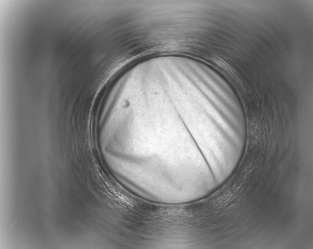 X0000057080886200510010157