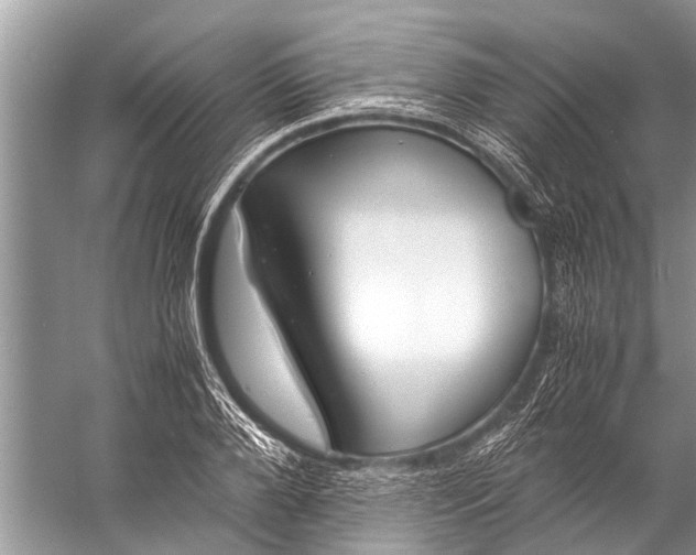 X0000057080888200510010156