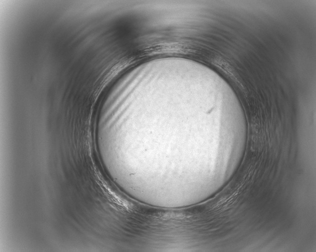 X0000057080890200510010156