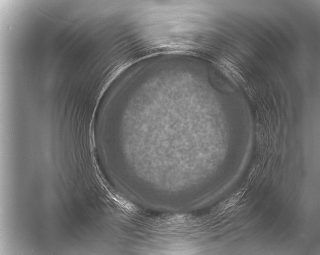 X0000057080891200510010156