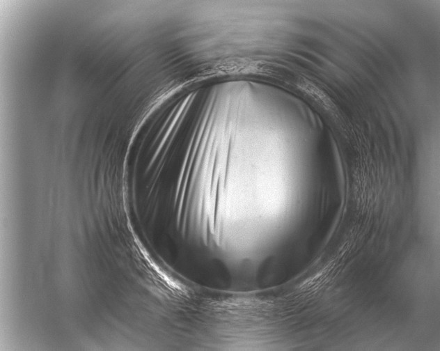 X0000057080894200510010156