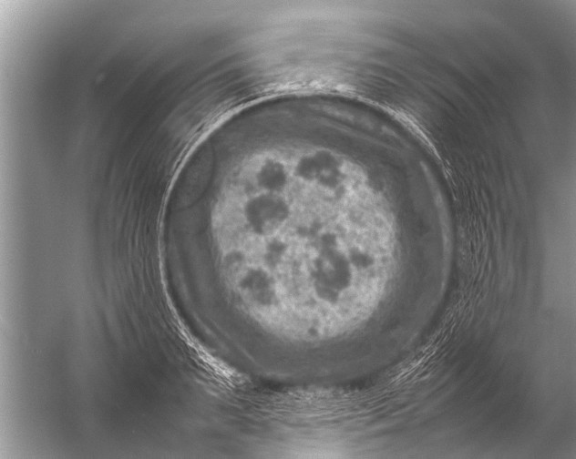 X0000057080895200510010156