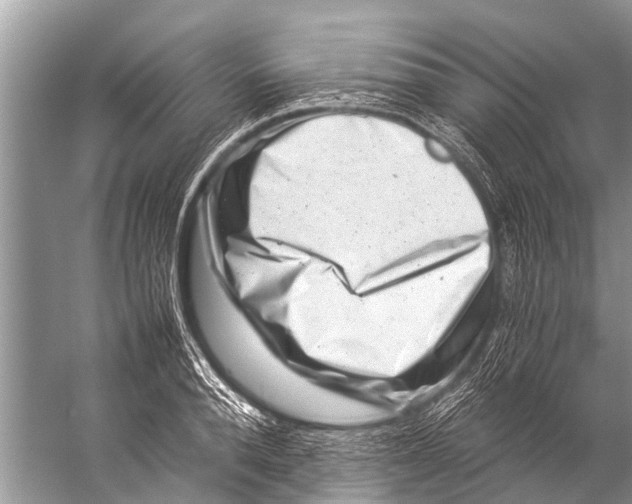 X0000057080896200510010156