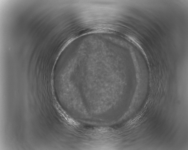 X0000057080899200510010156