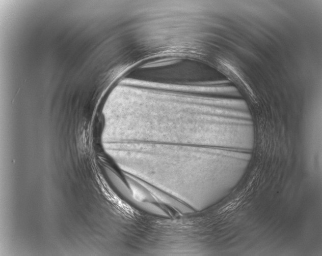 X0000057080900200510010156