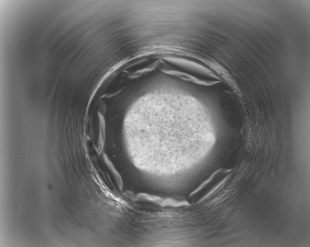 X0000057080904200510010156